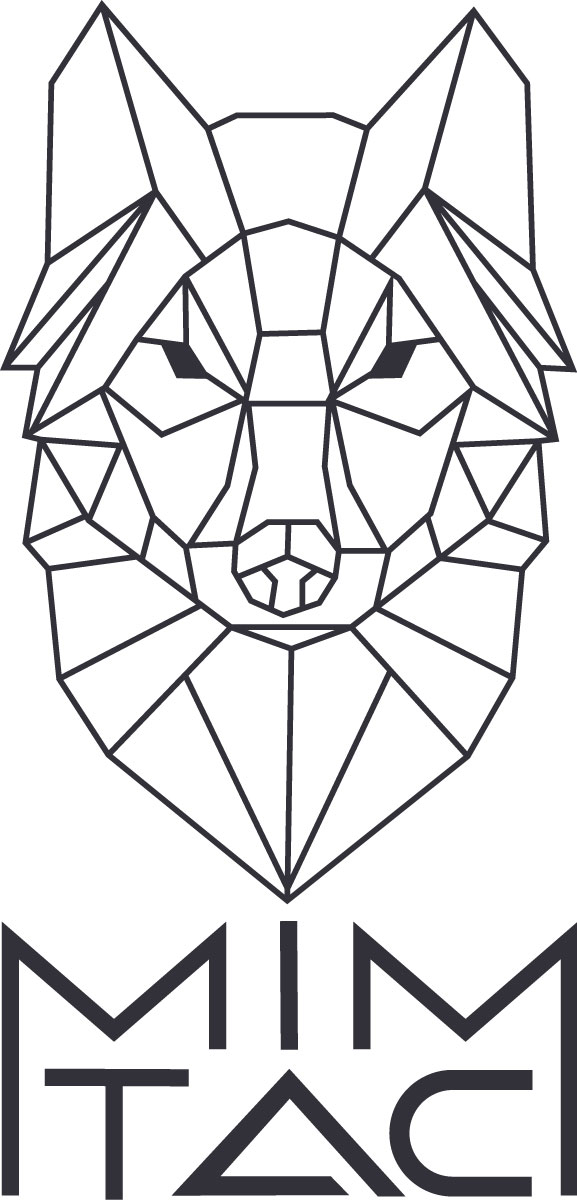 Logo MIMTac
