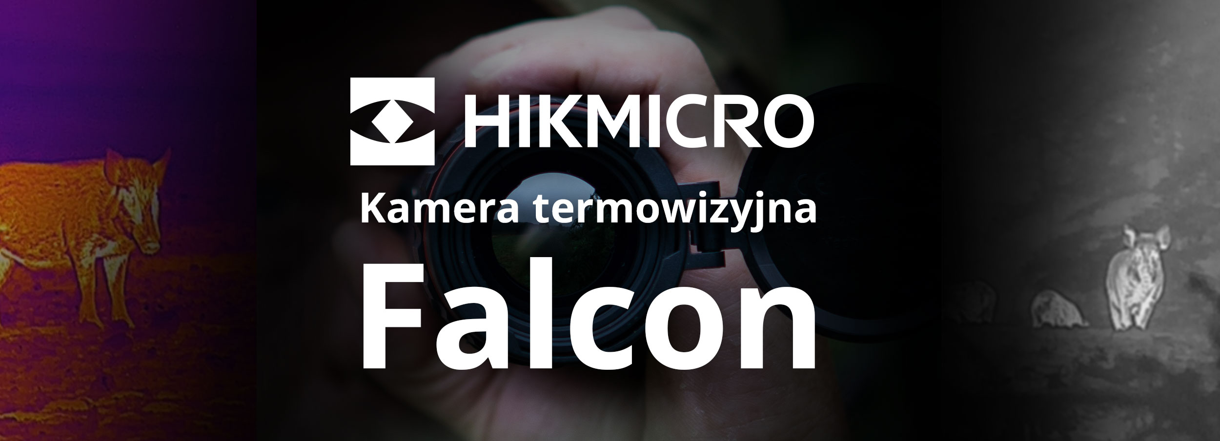 Falcon_banner.jpg
