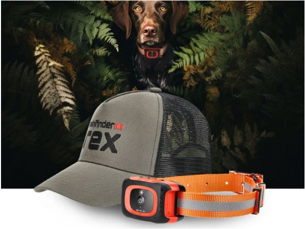 Hunt for the best hunting gear