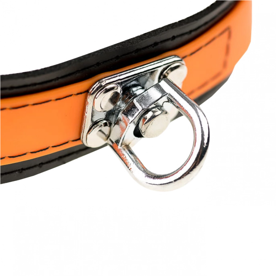 4wild.eu Forest orange tracking collar 2/2