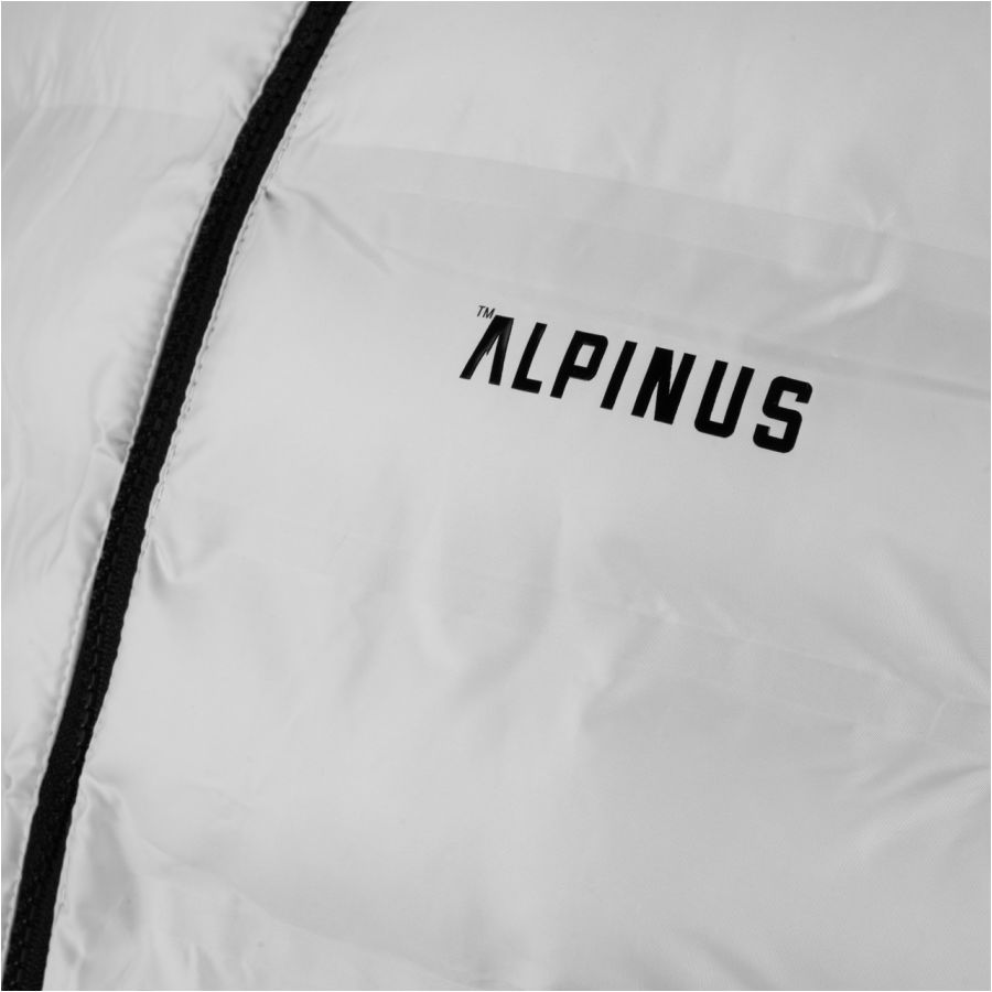 Alpinus Nordend men's jacket grey 2/8