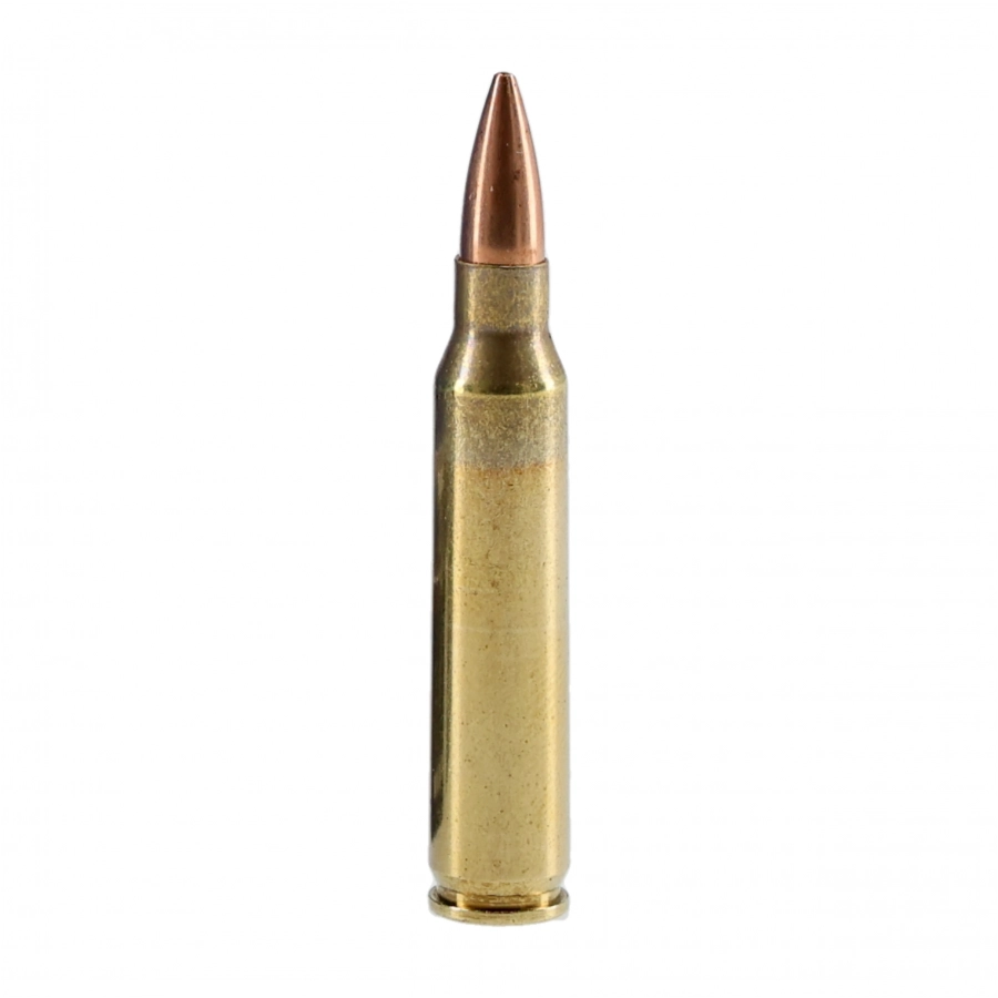 Amunicja Fiocchi kal .223 Rem HBPT Sierra M.King 4,5g/69g - 50szt. 2/4