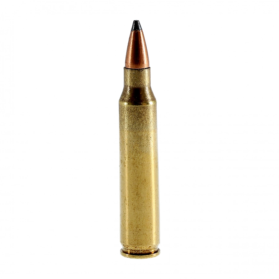 Amunicja Fiocchi kal .223 Rem SP 3,56g/55g 2/4