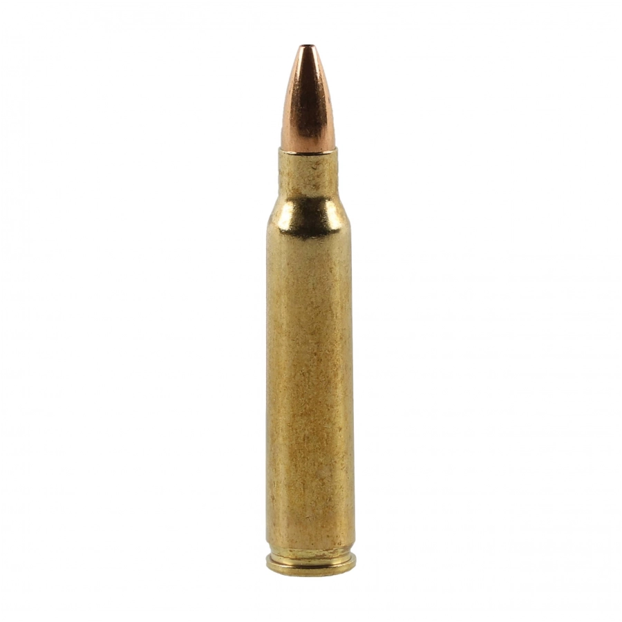 Amunicja RWS kal. .223 Rem Target Elite 4,5g/69gr 2/4