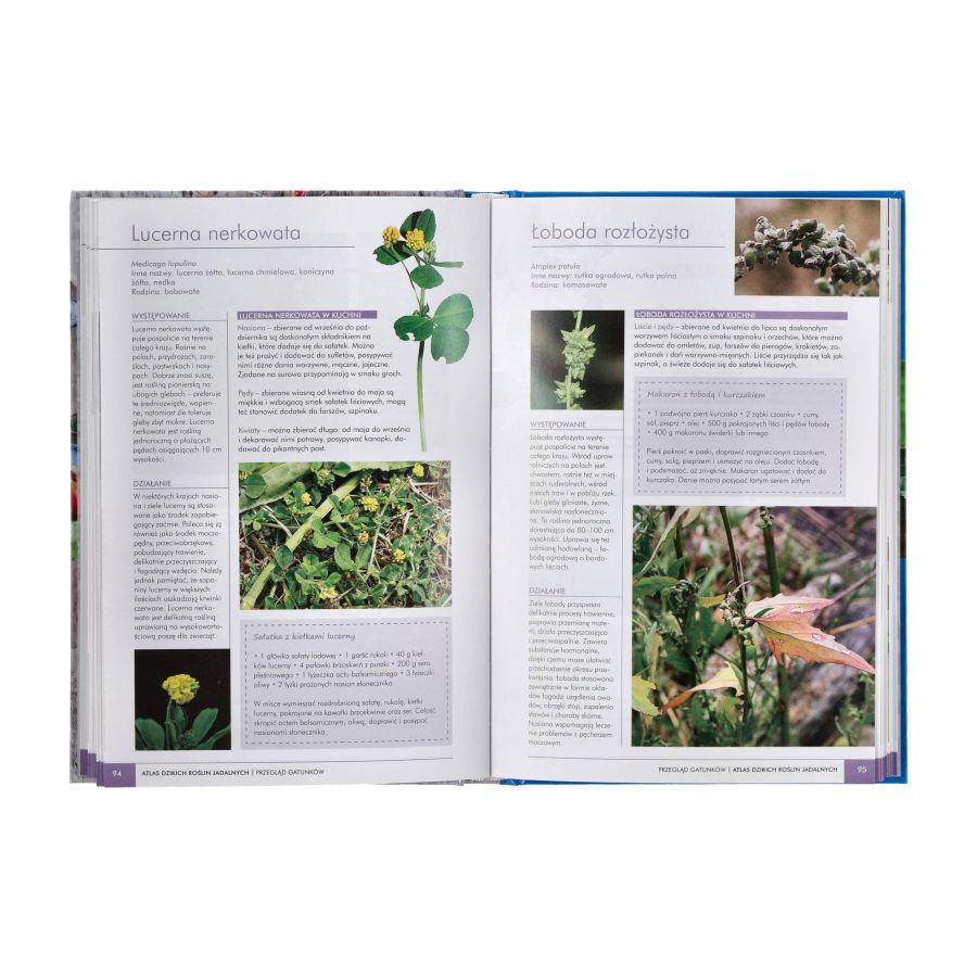 Book "Atlas of wild edible plants" 2/2
