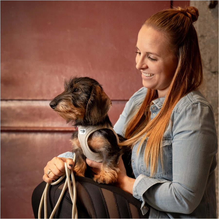 Curli Clasp Air-Mesh dog harness orange 2/3