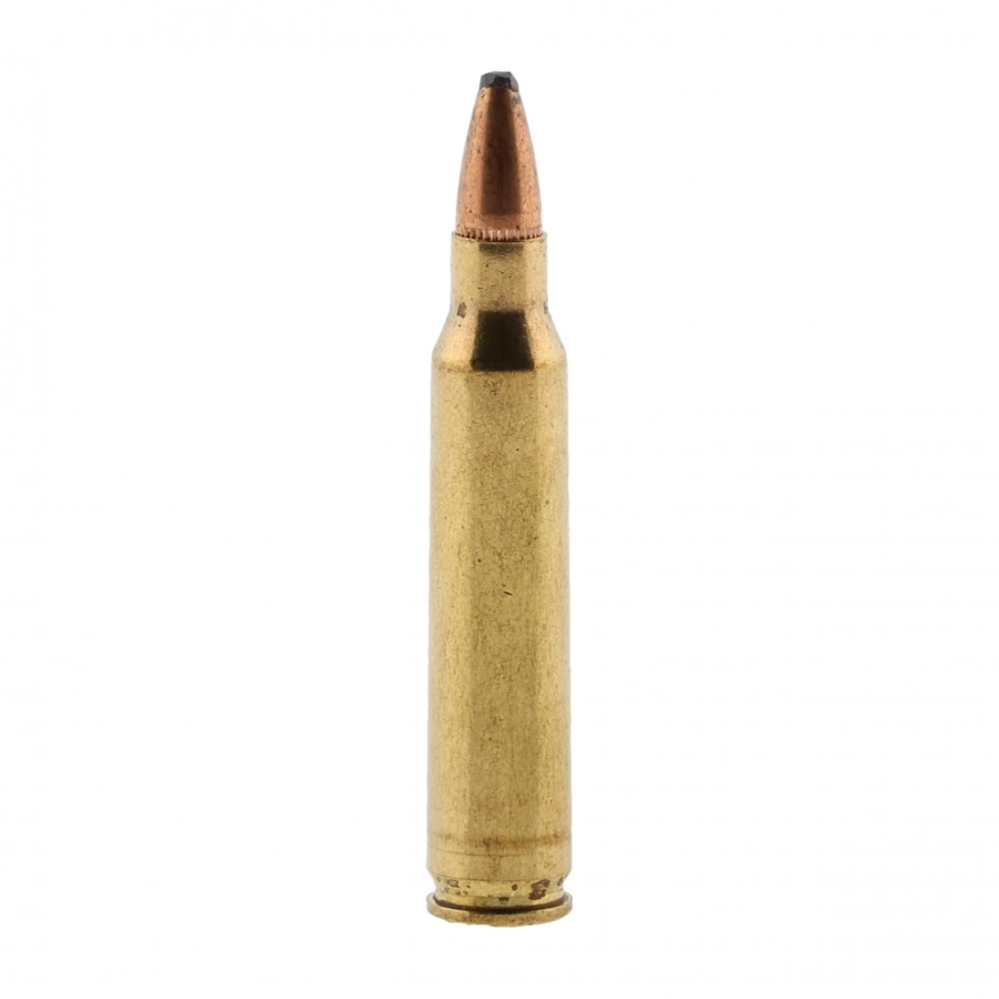 Federal ammunition cal. 223 Rem 55gr/3.56g 2/4