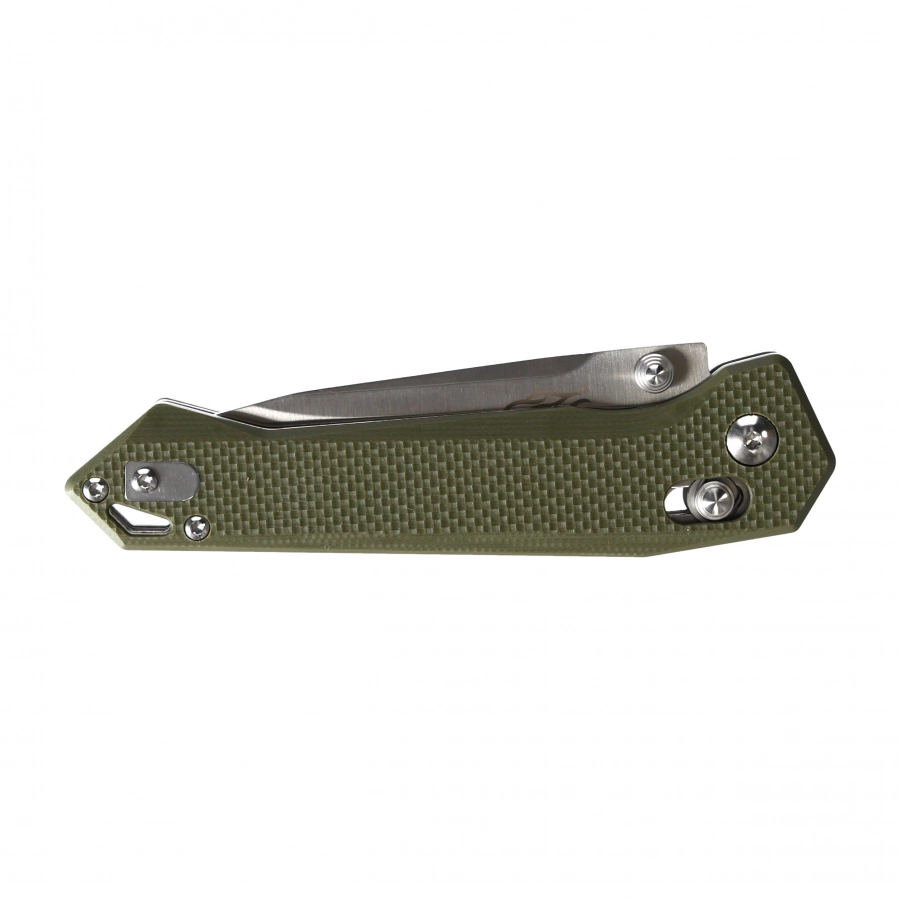 Ganzo Firebird FB7651-GR folding knife 4/6