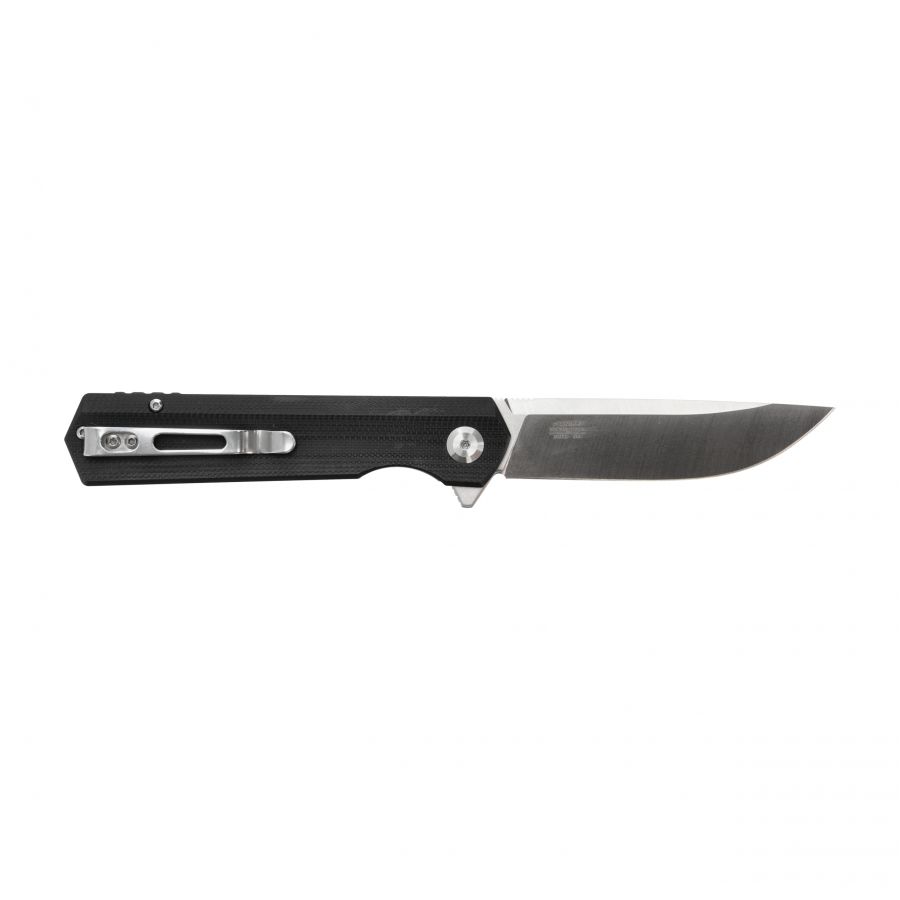 Ganzo Firebird FH11-BK folding knife 2/6