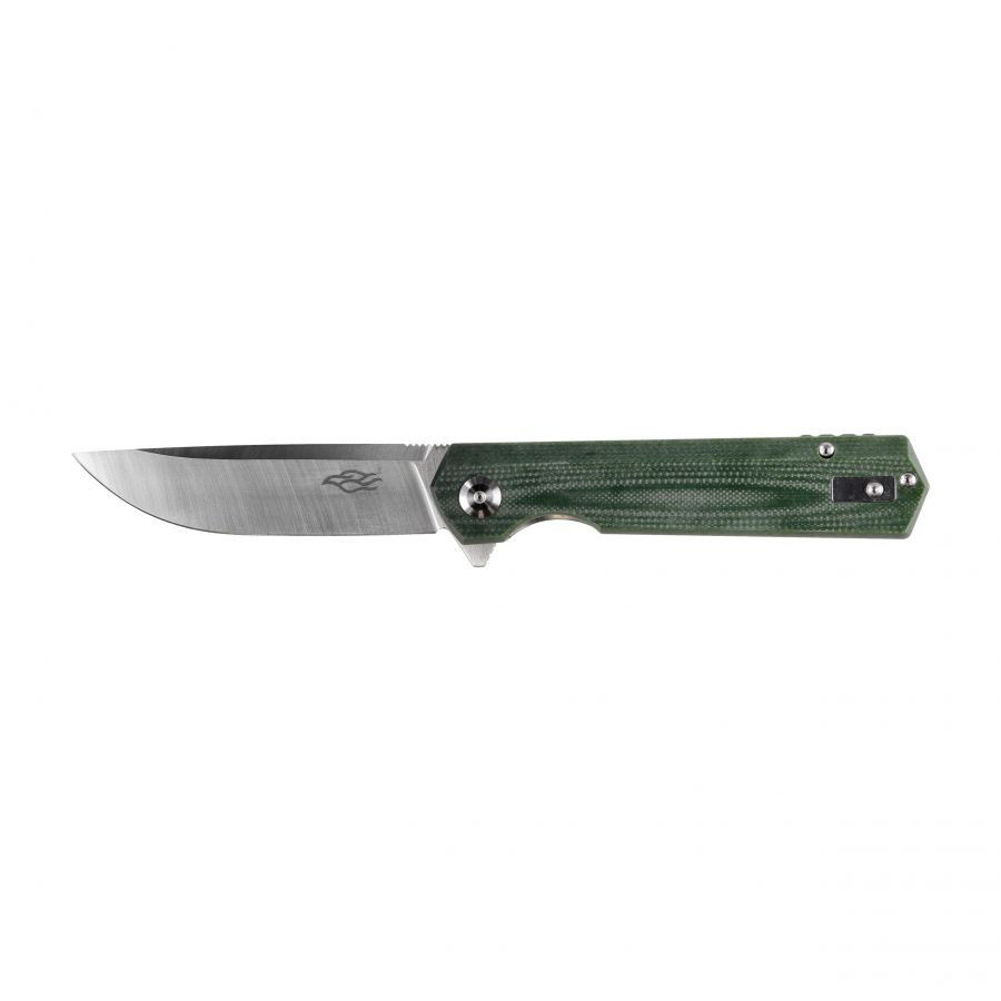 Ganzo Firebird FH11-GB folding knife 1/6