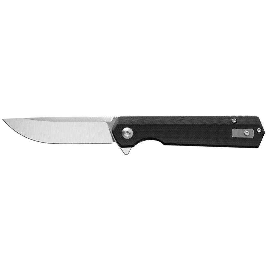 Ganzo Firebird FH11S-BK folding knife 1/4