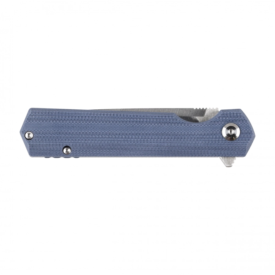 Ganzo Firebird FH11S-GY folding knife 4/6