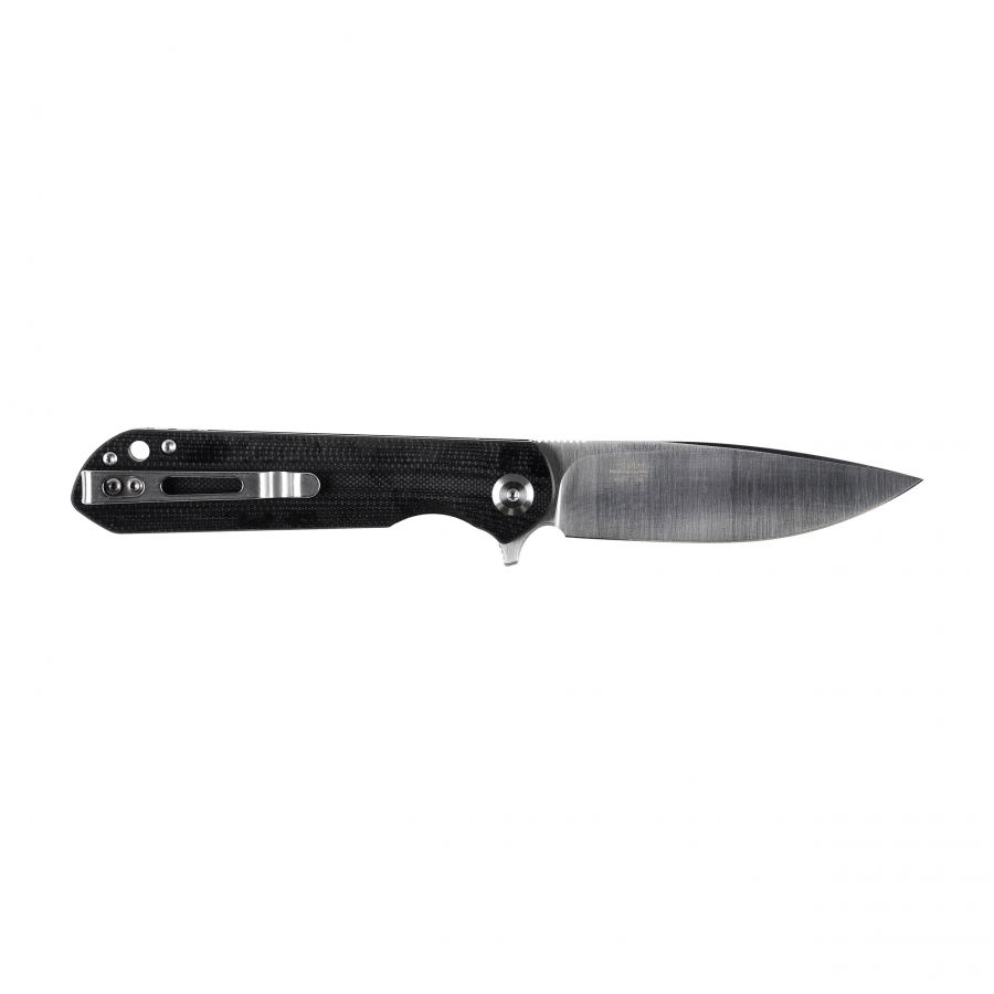 Ganzo Firebird FH41-BK folding knife 2/6