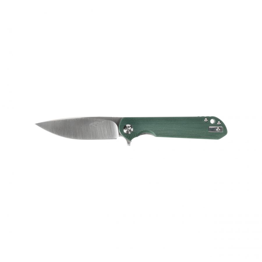 Ganzo Firebird FH41-GB folding knife 1/6