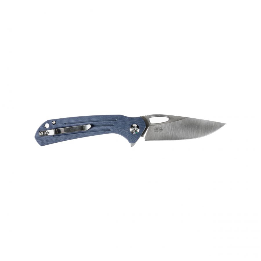 Ganzo Firebird Folding Knife FH921-GY 2/6