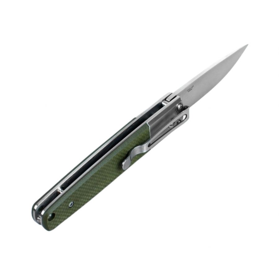 Ganzo Firebird folding knife G7211-GR 2/4