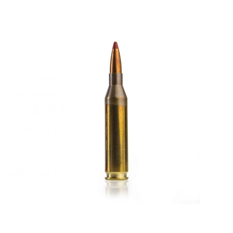 GECO ammunition cal. .243 Win Express 4.9 g 2/2
