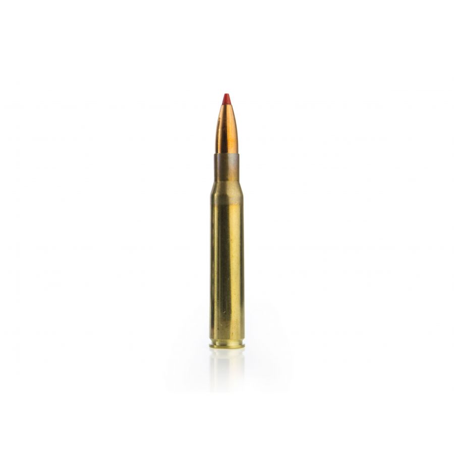 GECO ammunition cal. .30-06 Express 10.7 g 2/2