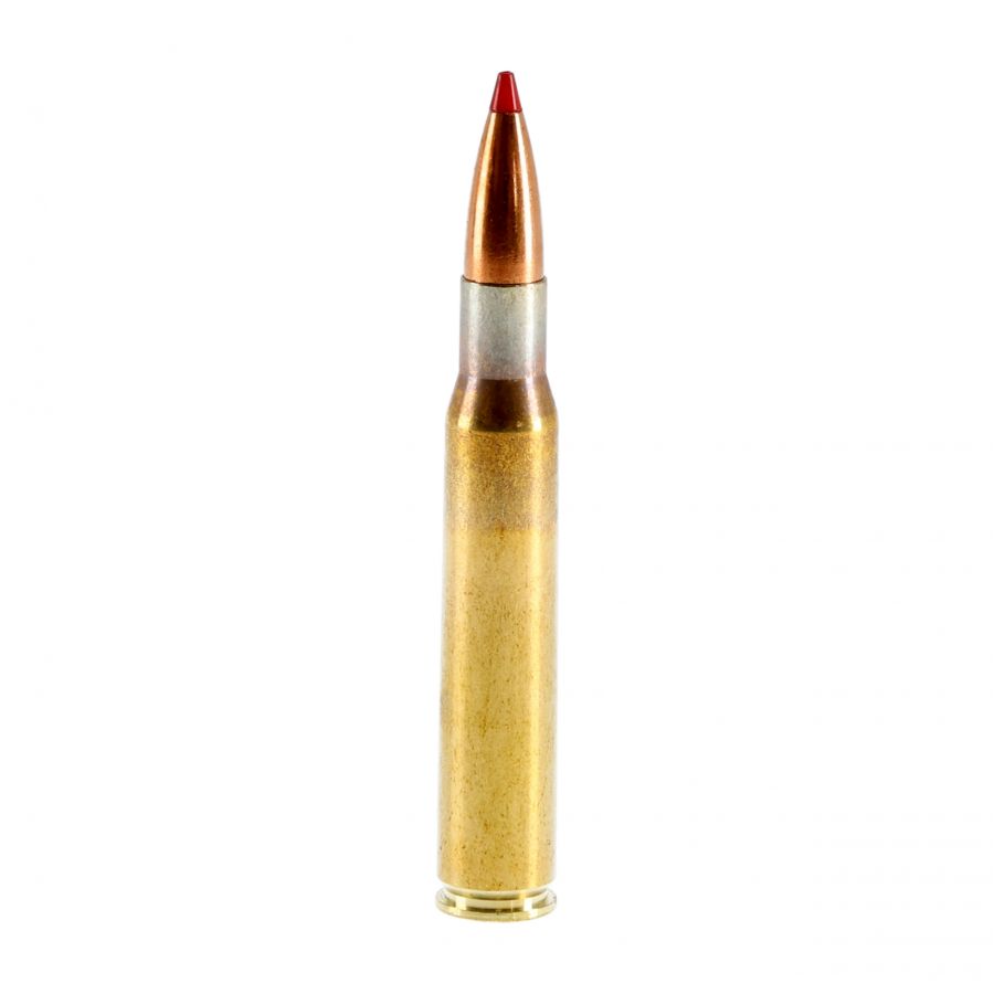 GECO ammunition cal. .30-06 Express 10.7 g 2/4