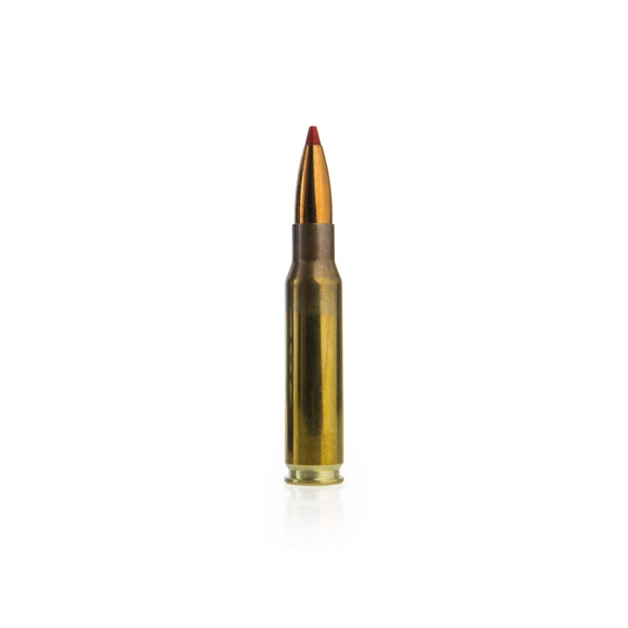 GECO ammunition cal. .308 Win Express 10.7 g 2/2