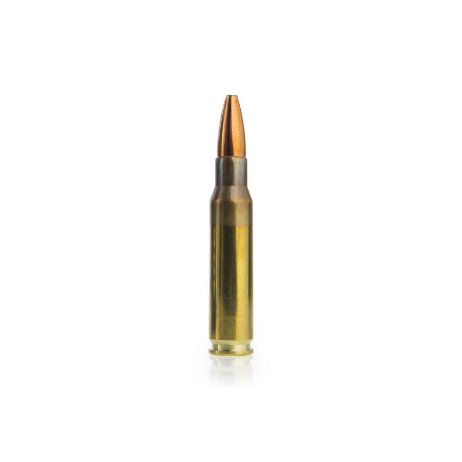 GECO ammunition cal. .308 Win Plus 11 g 2/2