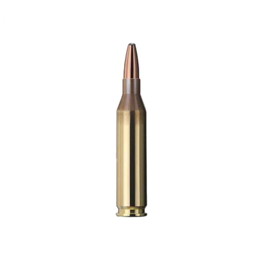 GECO ammunition cal. 7x57 TM 10.7 g 2/2