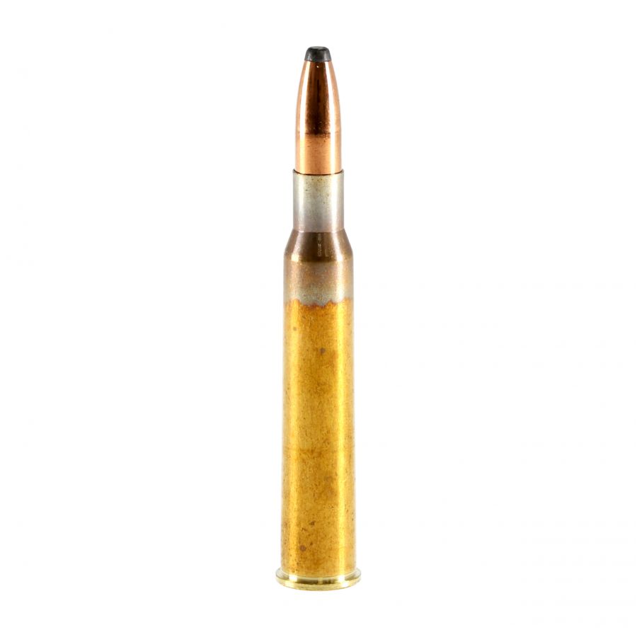 GECO ammunition cal. 7x65 R TM 10.7 g 2/4