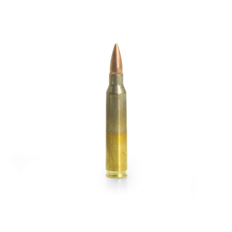 GGG cal .223 Rem 55 gr/3.56 g FMJ ammunition 2/2