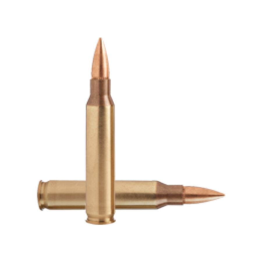 GGG cal .223 Rem 62 gr/4 g FMJ ammunition 1/1