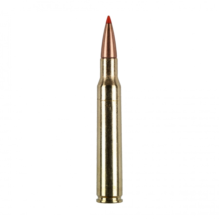 Hornady ammunition cal. 7x64 SST SPF 162gr/10.5g 2/4