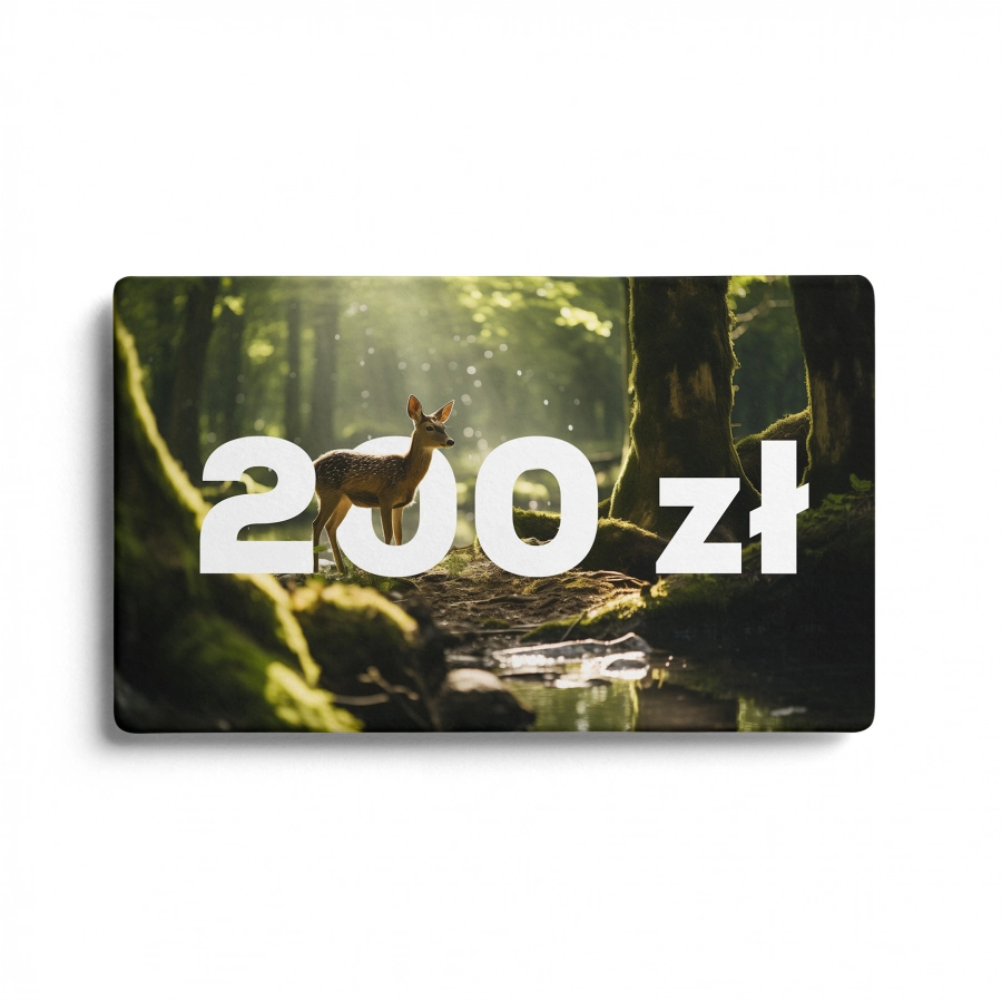 Karta podarunkowa Kolba 200 zł 2/3