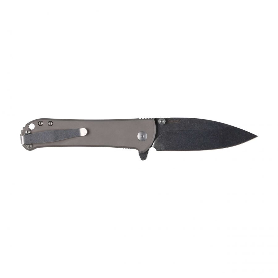 Kizer Coniferous V V4609C1 folding knife 2/6