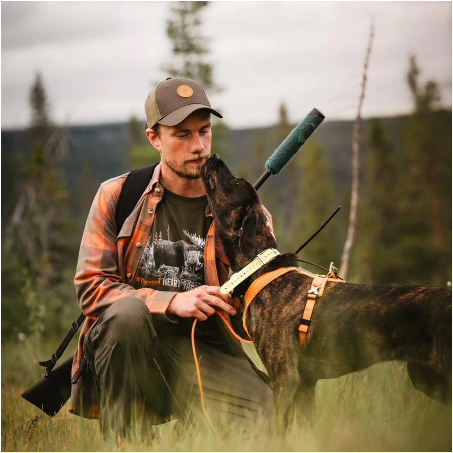 Koszulka męska Pinewood Moose, zielona 4/4