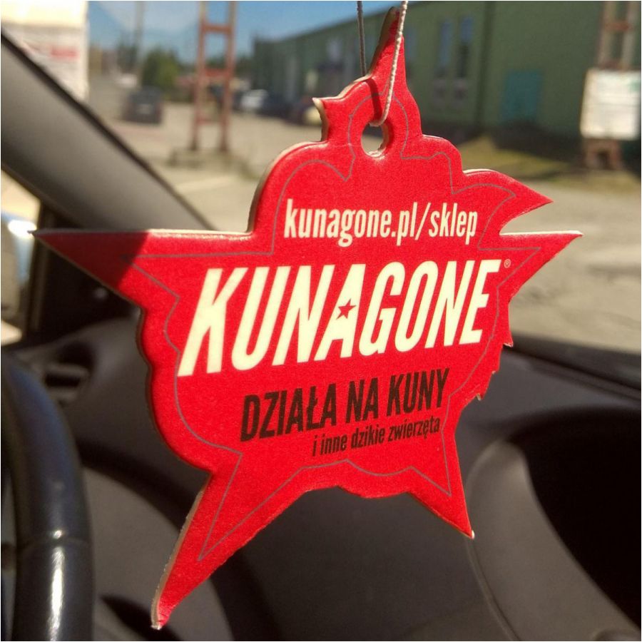 Kunagone fragrance pendant for car 4/4