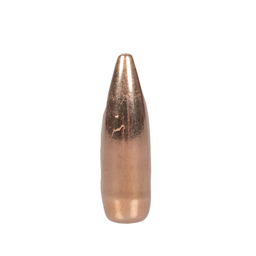 LOS .224 55grs FMJ BT 100 bullet. 1/1