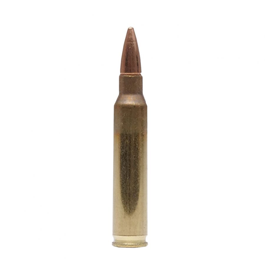 Magtech ammunition cal. 223 Rem FMJ 55gr (50pcs) 3/3
