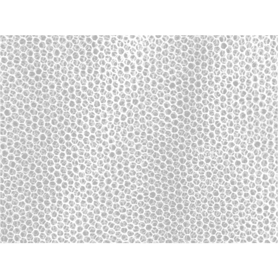 MFH mosquito net - large white (0.63x2.5x12.5 m) 3/3