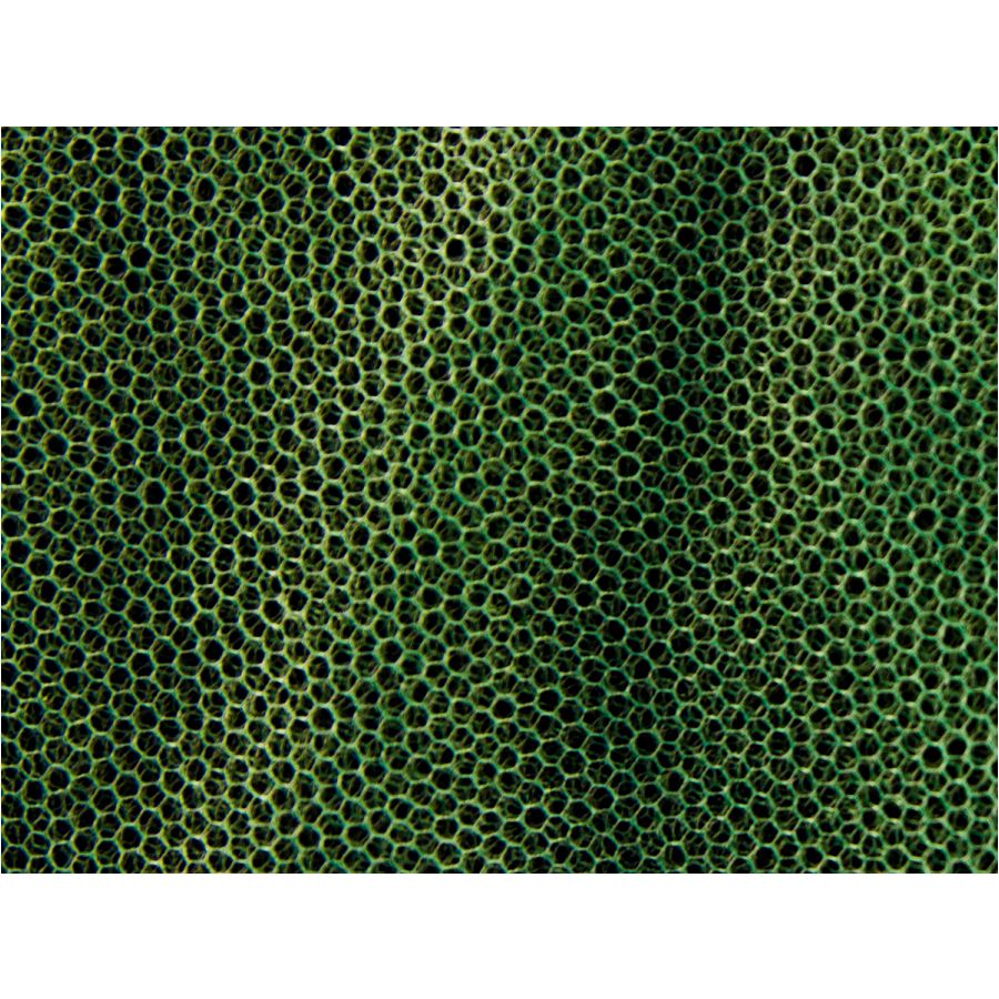 MFH mosquito net - small olive (0,63x2x8 m) 2/2