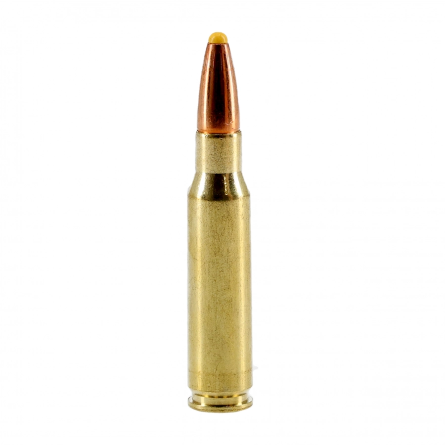 Norma ammunition cal. 308 Win. PPDC 11.7g/180 grs 2/4