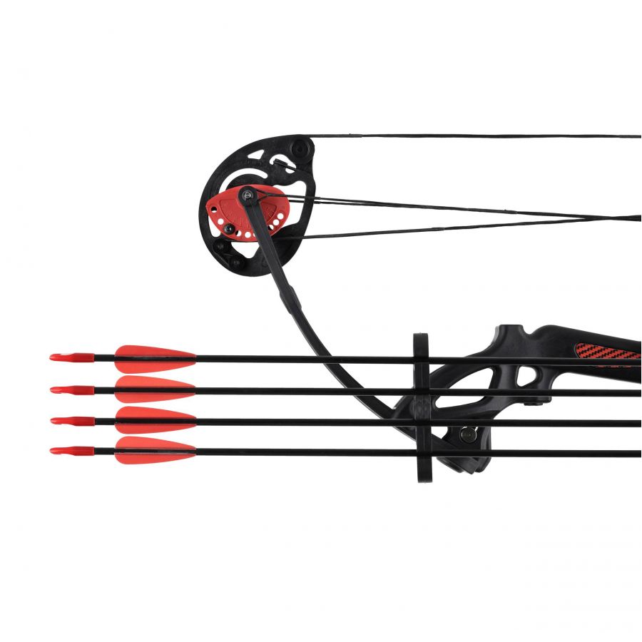 NXG CB Robin Expert Set 15-29+string pulley bow 3/11