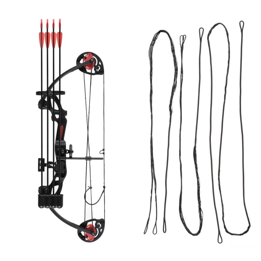 NXG CB Robin Expert Set 15-29+string pulley bow 1/11