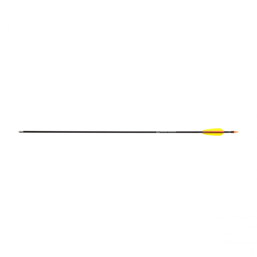 Poe Lang fiberglass arrow 30" gr. disc head black 1/3