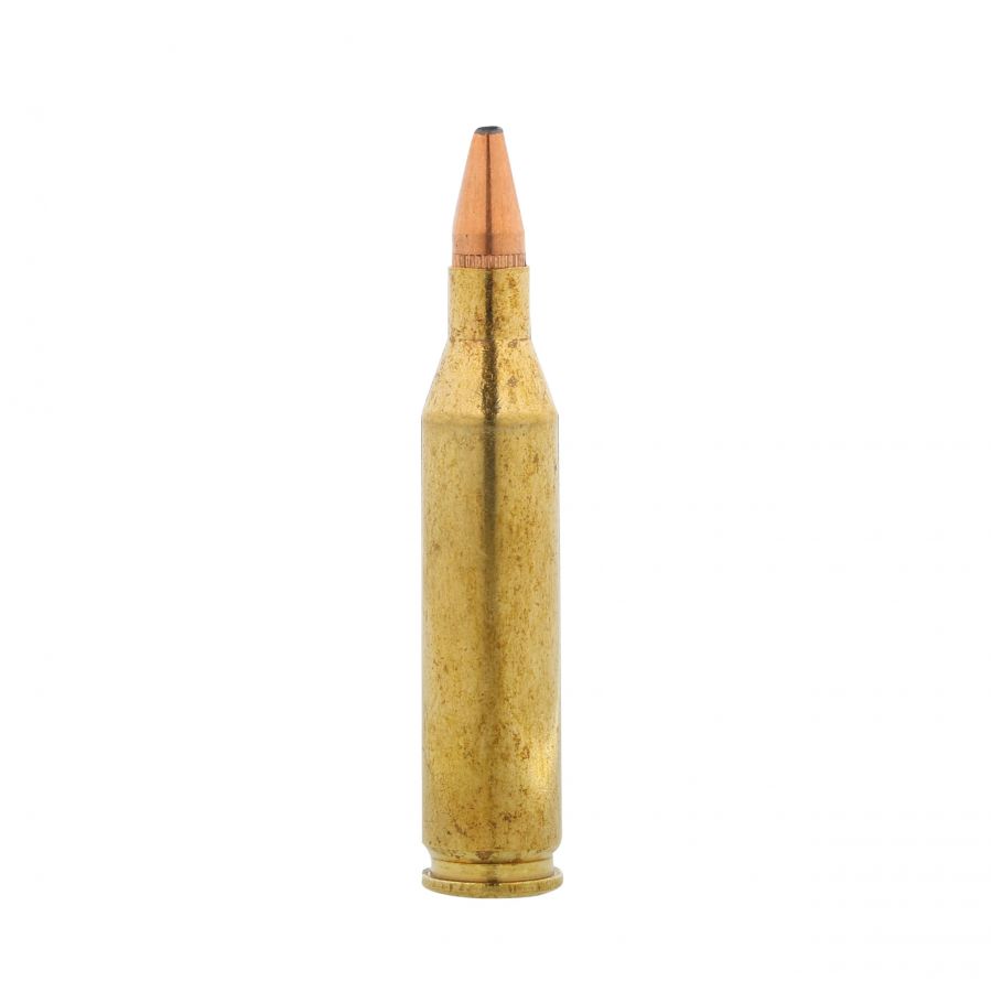 RWS ammunition cal. .243 WIN KS 6.2 g 2/4