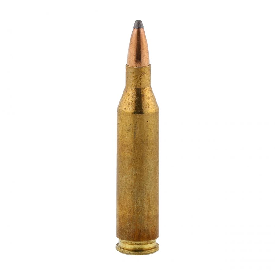 RWS ammunition cal. .243 WIN TMS 6.5 g 2/4