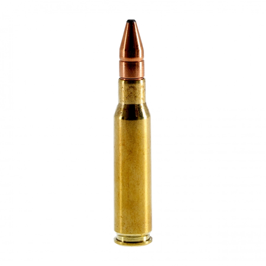 RWS ammunition cal. .308 WIN DK 10.7 g / 165 gr 2/4