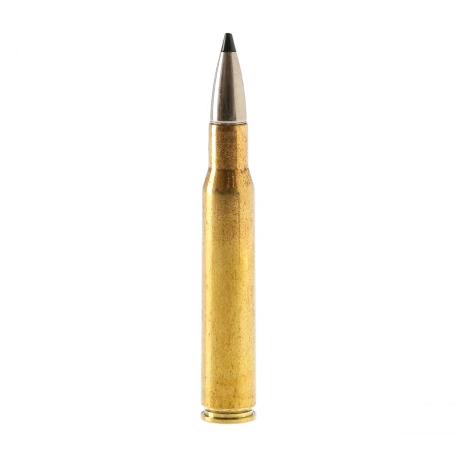 RWS cal. .30-06 Speed Tip Prof. 10.7g ammunition 3/4