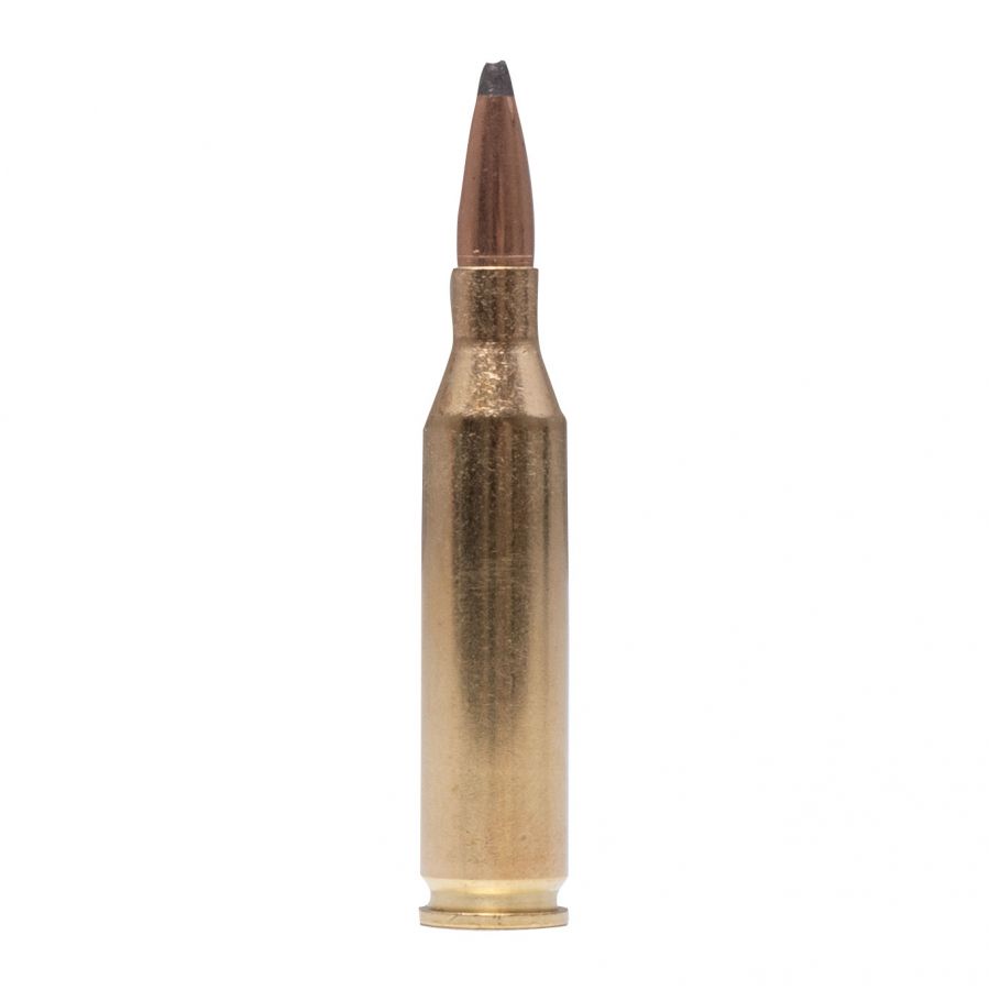 SAKO Gamehead ammunition cal. 243 Win 5.8 g 3/3