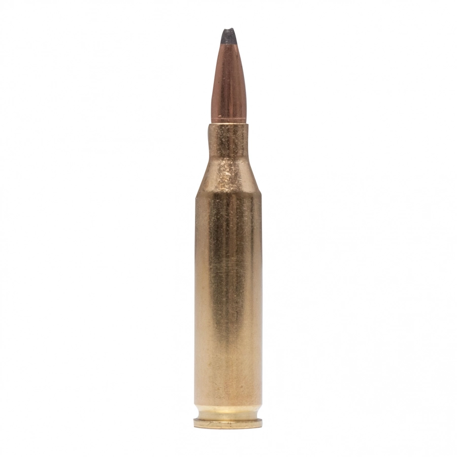 SAKO Gamehead ammunition cal. 243 Win 5.8 g 3/3