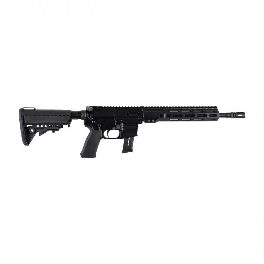 Son of Guns AR-9 PCC carbine cal. 9mm para 12.7" 2/9