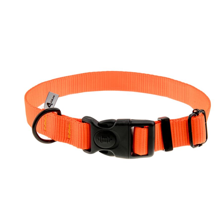 Strap collar 4wild.eu 25 mm 37-57 cm orange. 1/2